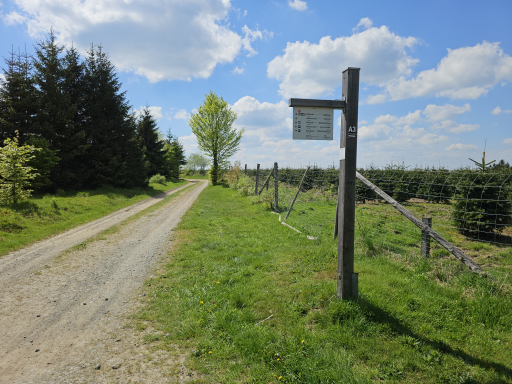 Rad- und Wanderweg auf dem Rothaarsteig